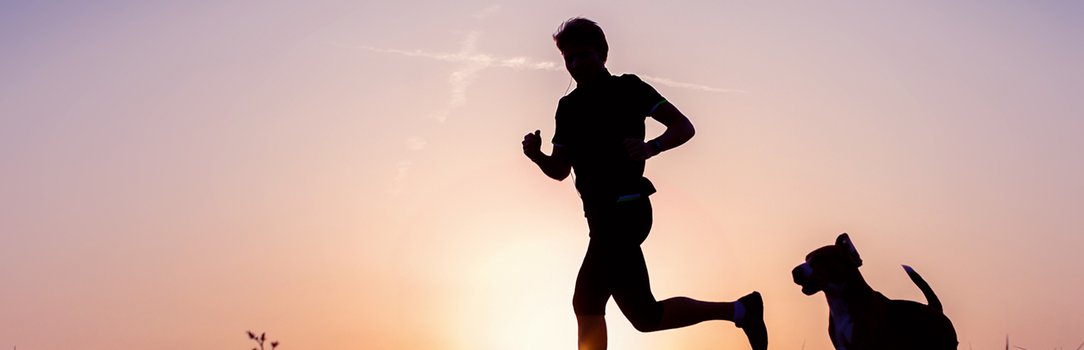 Evening jogging with beagle pet